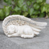 Small Sleeping Dog In Wing