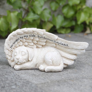 Small Sleeping Dog In Wing