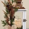 memory treusre lantern memory treusre lantern