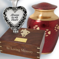 Cremation