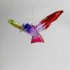 Rainbow-Hummingbirds_01-lr