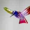 Rainbow-Hummingbirds_02-lr