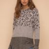 gray leopard