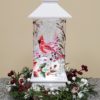 cardinal light up