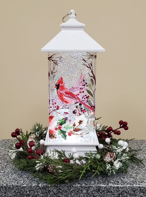 cardinal light up