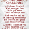 cardinal comfort card