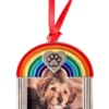 rainbow pet 3