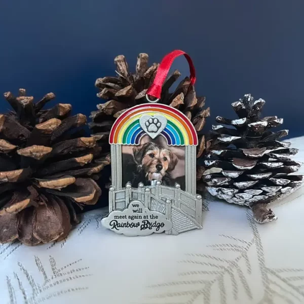 rainbow pet