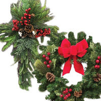 Christmas Decoration Program