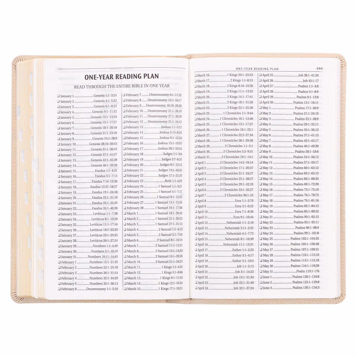 KJV Bible 6