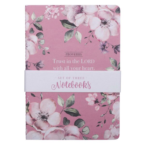 NBS026