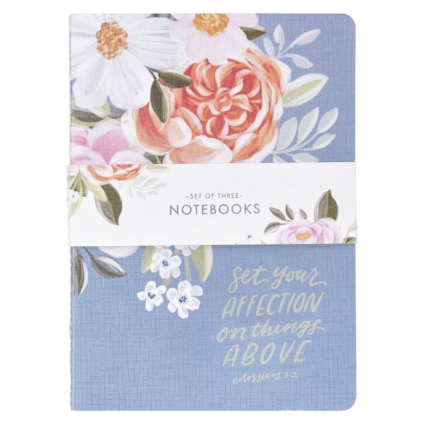NBS087