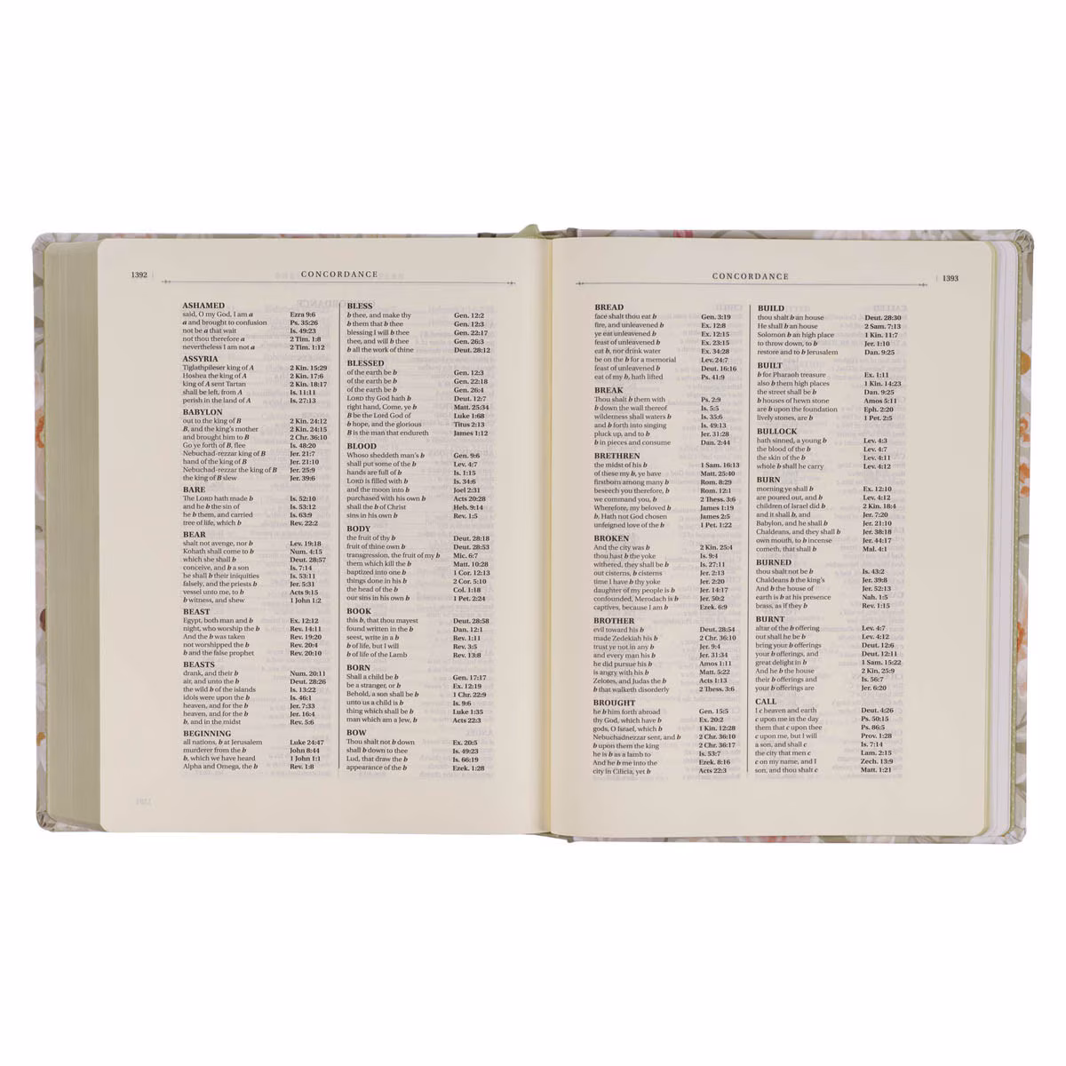 Sage Bible 7