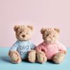 big sis plush 2